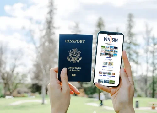 International Roaming vs eSIM: Which is Best for Your Trip?